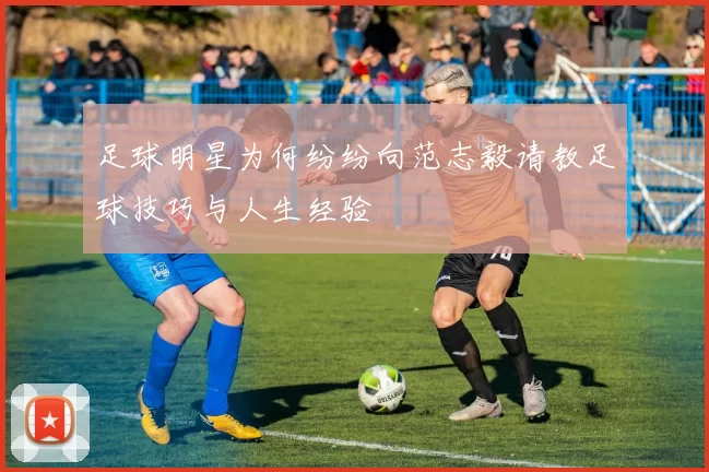 足球明星为何纷纷向范志毅请教足球技巧与人生经验