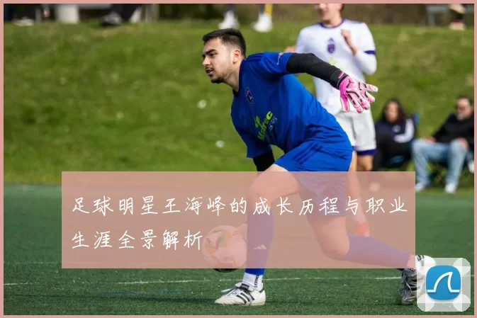 足球明星王海峰的成长历程与职业生涯全景解析
