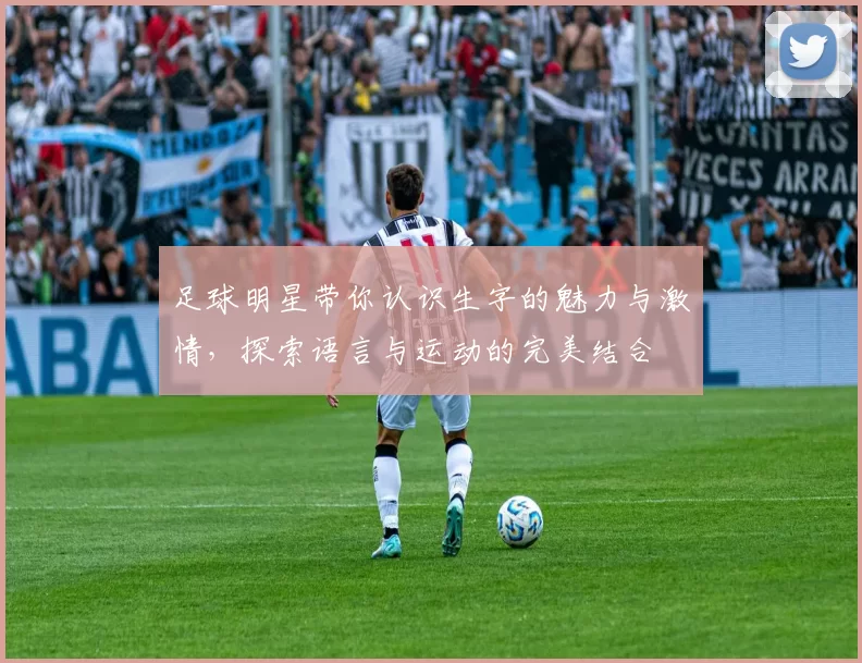 足球明星带你认识生字的魅力与激情，探索语言与运动的完美结合