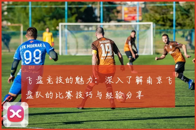 飞盘竞技的魅力：深入了解南京飞盘队的比赛技巧与经验分享