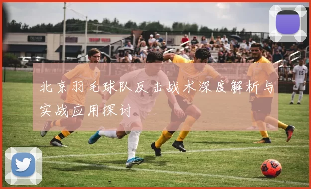 北京羽毛球队反击战术深度解析与实战应用探讨