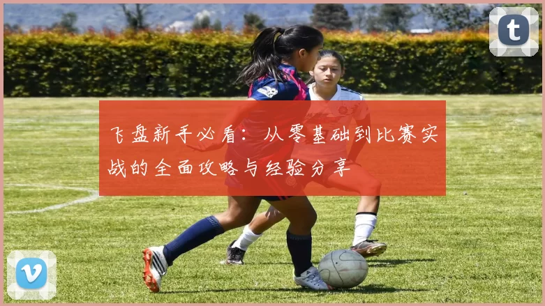 飞盘新手必看：从零基础到比赛实战的全面攻略与经验分享