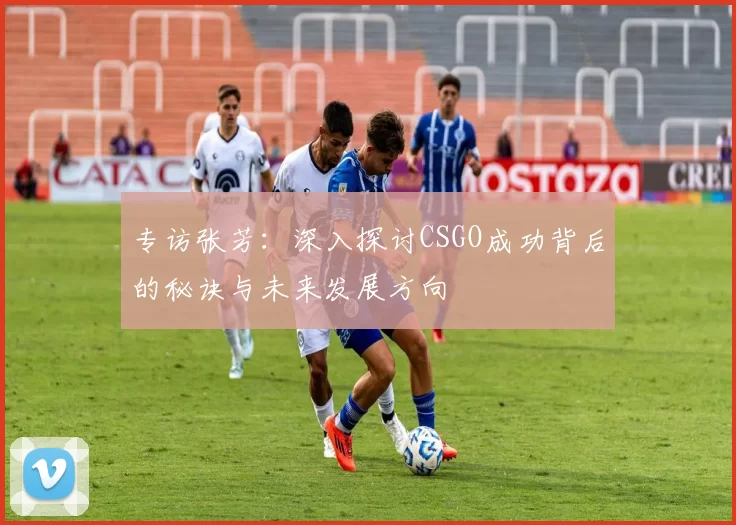 专访张芳：深入探讨CSGO成功背后的秘诀与未来发展方向