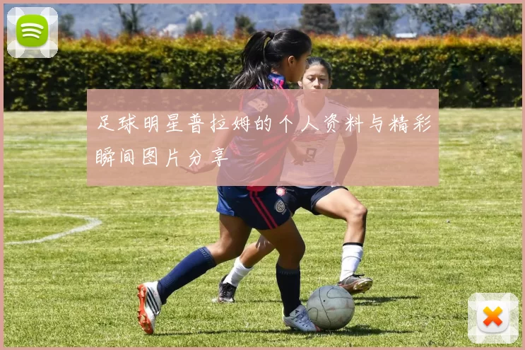 足球明星普拉姆的个人资料与精彩瞬间图片分享